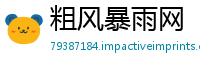 粗风暴雨网